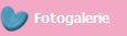 Fotogalerie